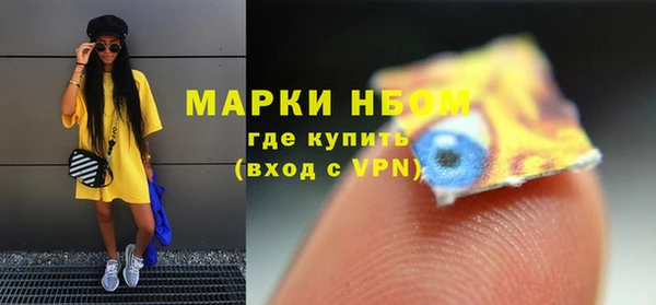 твердый Абаза