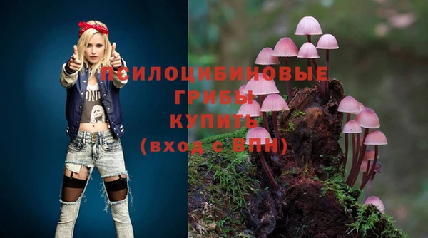 прущий лед Алексин